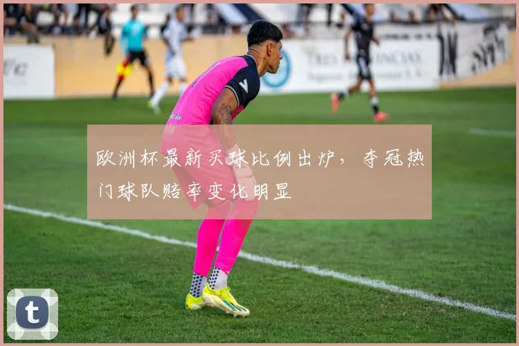 欧洲杯最新买球比例出炉,夺冠热门球队赔率变化明显